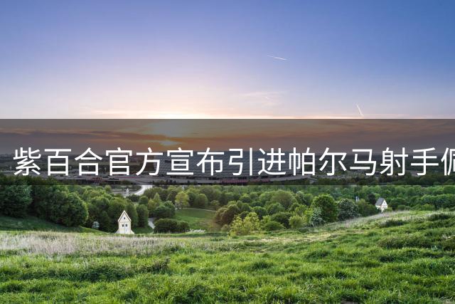 紫百合官方宣布引进帕尔马射手佩莱格里诺