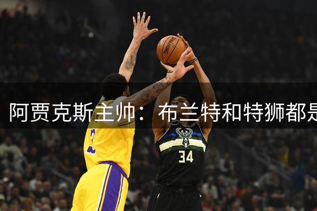 阿贾克斯主帅：布兰特和特狮都是很出色的球员